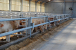 agrarische werkzaamheden 020